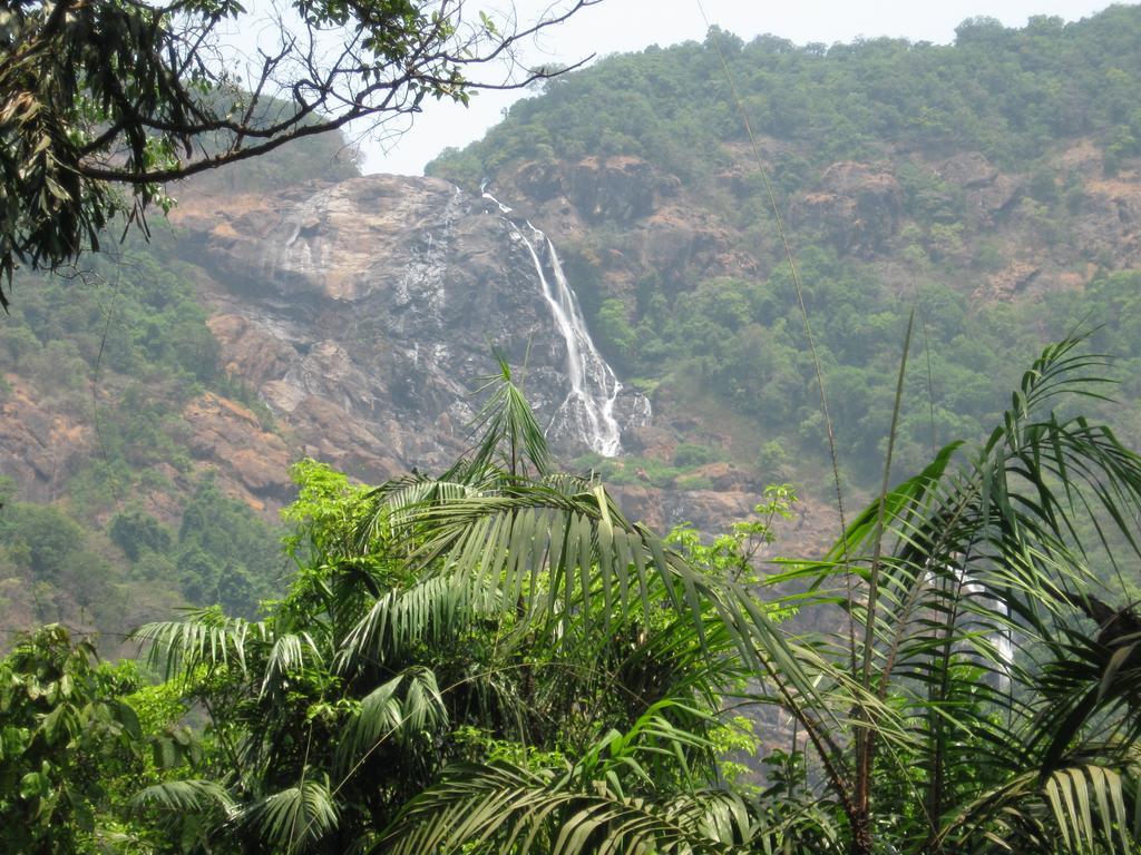 Dudhsagar Plantation Villa Cormonem Exterior foto