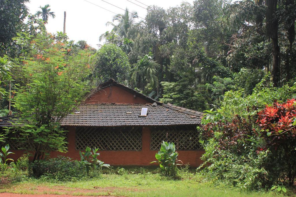 Dudhsagar Plantation Villa Cormonem Exterior foto