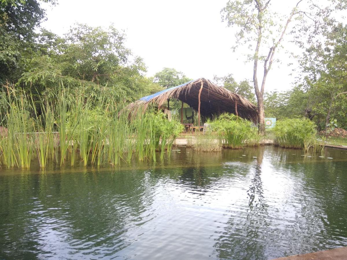 Dudhsagar Plantation Villa Cormonem Exterior foto